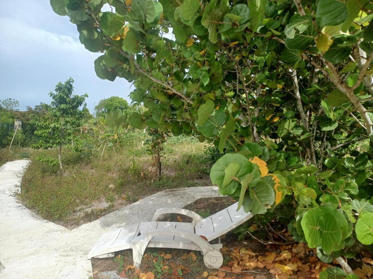 "Le Champs" Des Oiseaux Villa Anse-Bertrand Eksteriør bilde